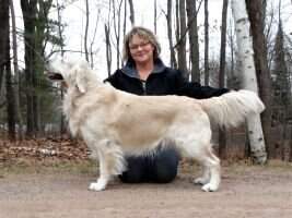 International USA CH Wilbert Of The Hellacious Acres