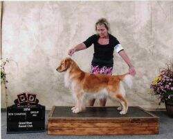 UKC Ch.CanGrCh Nalyn's She's Smokin Hot