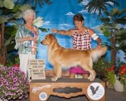Birnam Wood's Barb E. Dahl BN RI BCAT ACT2 DS DJX HDN CGCA TKI RL1 Birnam Wood's Barb E. Dahl BN RI BCAT ACT2 DS DJX HDN CGCA TKI RL1