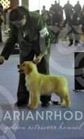 HABIA UNA VEZ RAM DE ARIANRHOD