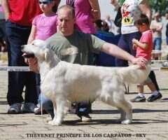 Thevenet Principe de Los Carpantos