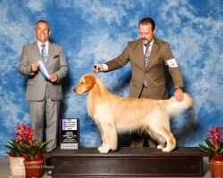 GCH/ U-CH Alchemy's Grand Finale