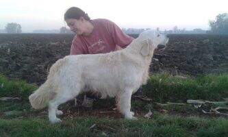 Jako's Touch the Astral Sky