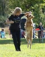 Topmast Isle Of Skye Scotch PCDX BN RM2 ACT1 TKE W-CHFD W-CH.PDP