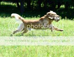 Rusty Creek When You're Hot You're Hot BN RN SHR TKA CCA