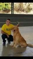 Chasse Frederico at. Dii Canes