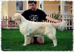 Comunque Bella de Sendachiara CER Comunque Bella de Sendachiara CER