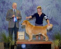 Richwood Unexpected Windfall BCAT CCA Richwood Unexpected Windfall BCAT CCA