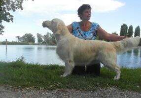 Dt.Ch./Hr.Ch Princess of Wales Happy Company