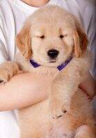 Beyond Kennel's Buddy Beyond Kennel's Buddy