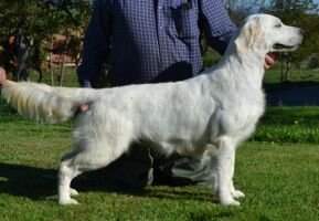Serenella de Fourgeron