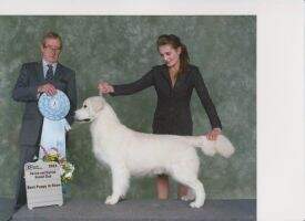 Montego Circle of Life