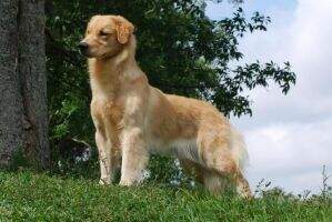 Chasse G Edith Chasse G Edith