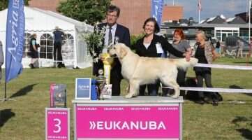 C.I.E. NK Winner 16 Ch.VDH German LSTh?16 FJS16 NJK BJWNL15 JgdCh. Club FJJS15 Sequins Schnozzola