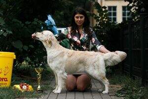 Blr,Rus,Ukr,Mol,Grand Ch, Rus,Blr,Grand J.Ch Riera Zenith Of Fame