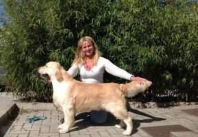 Internaz Show CH, IT CH, KH CH Much More For Double Willow