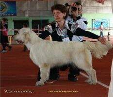 Kz CH Kz CH Rus LETE SUERTE EMPFATIC ELAINE Kz CH Kz CH Rus LETE SUERTE EMPFATIC ELAINE