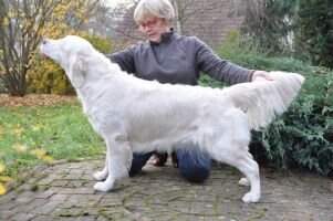 Holly Winter Beauty Des Fields de Ora