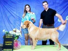 Chasse H Don Valentino