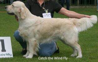 Dt.Ch(VDH),Pl.Ch.,Jun.Ch.Pl Catch the Wind Fly