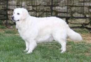 Lake Country's 'Lil Miss Bella Luna' Lake Country's 'Lil Miss Bella Luna'