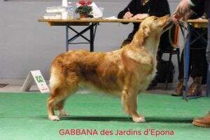 Gabbana des Jardins d'Epona