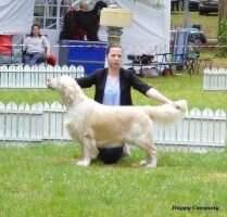 ; Champion ON SEVENTH HEAVEN HAPPY COMPANY