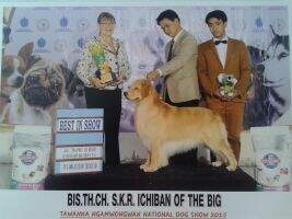 BIG. BIS. RBIS. Th. Ch. Ichiban The Big of SKR BIG. BIS. RBIS. Th. Ch. Ichiban The Big of SKR