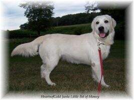 Heartsofgold Justa 'Lil' Bita Money