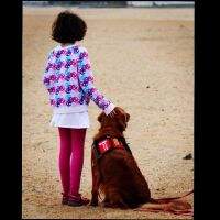 Maywood's Tiger SERVICE DOG