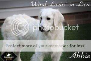 Wind Lovin' In Love