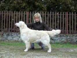 ChMEEU`15 ChBES GrChMOL Evidog QUADRIL ChMEEU`15 ChBES GrChMOL Evidog QUADRIL