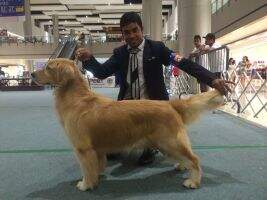 Phil HOF/ INT/ PAK/ LKA/ TWN CH Goodtime Zippidee's The Sweetest Thing
