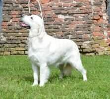 Bella Conta Uniconta