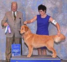 Heartland One for the Gipper