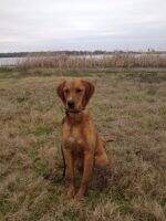 Nola's River Girl