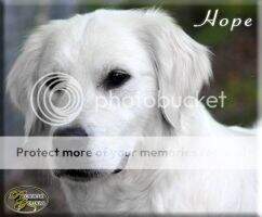 Marina's Hope in God