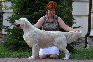 RUS Club CH RUS BLR Club Evidog Savoy