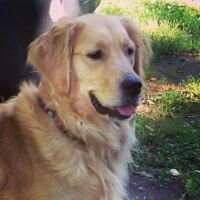 Chase's Southern Belle Delilah