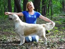 Club 3xRKF Grand CH Rus Grace Blue