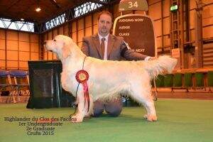 Highlander du Clos des Facons
