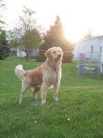 Jackson Ruger Hatch