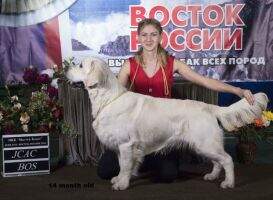 Rus Pekos Mirovoy Paren`