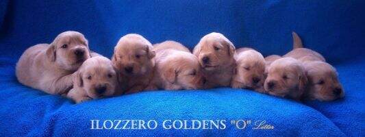 ilozzero Orlando Bloom