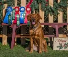Rippling Run's Fatal Attraction MXS2 PAD MJC2 PJS MFS TQX T2B5