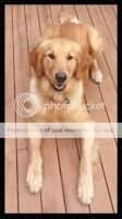 Maggie May Madame