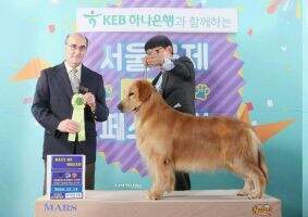 KOR Ch Francisco Leon Del Cielo