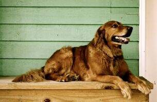 Baxter Carlock Baxter Carlock