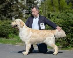 Rus Club Ch Rus Sandy Oliv Yudzhin