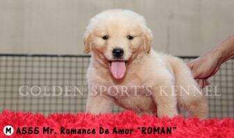 Mr. Romance De Amor